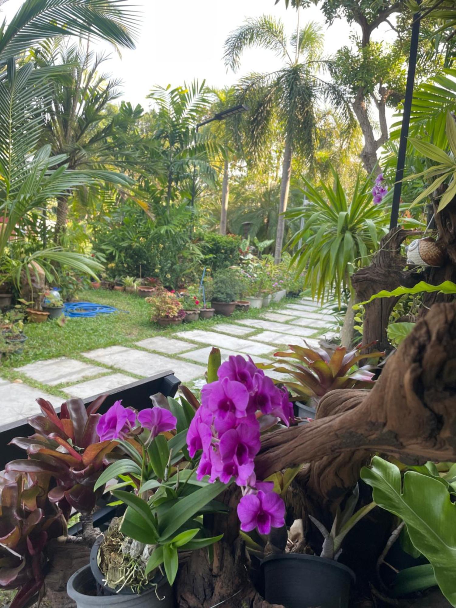 לאמאי ביץ' Grand Manita Beach Resort מראה חיצוני תמונה